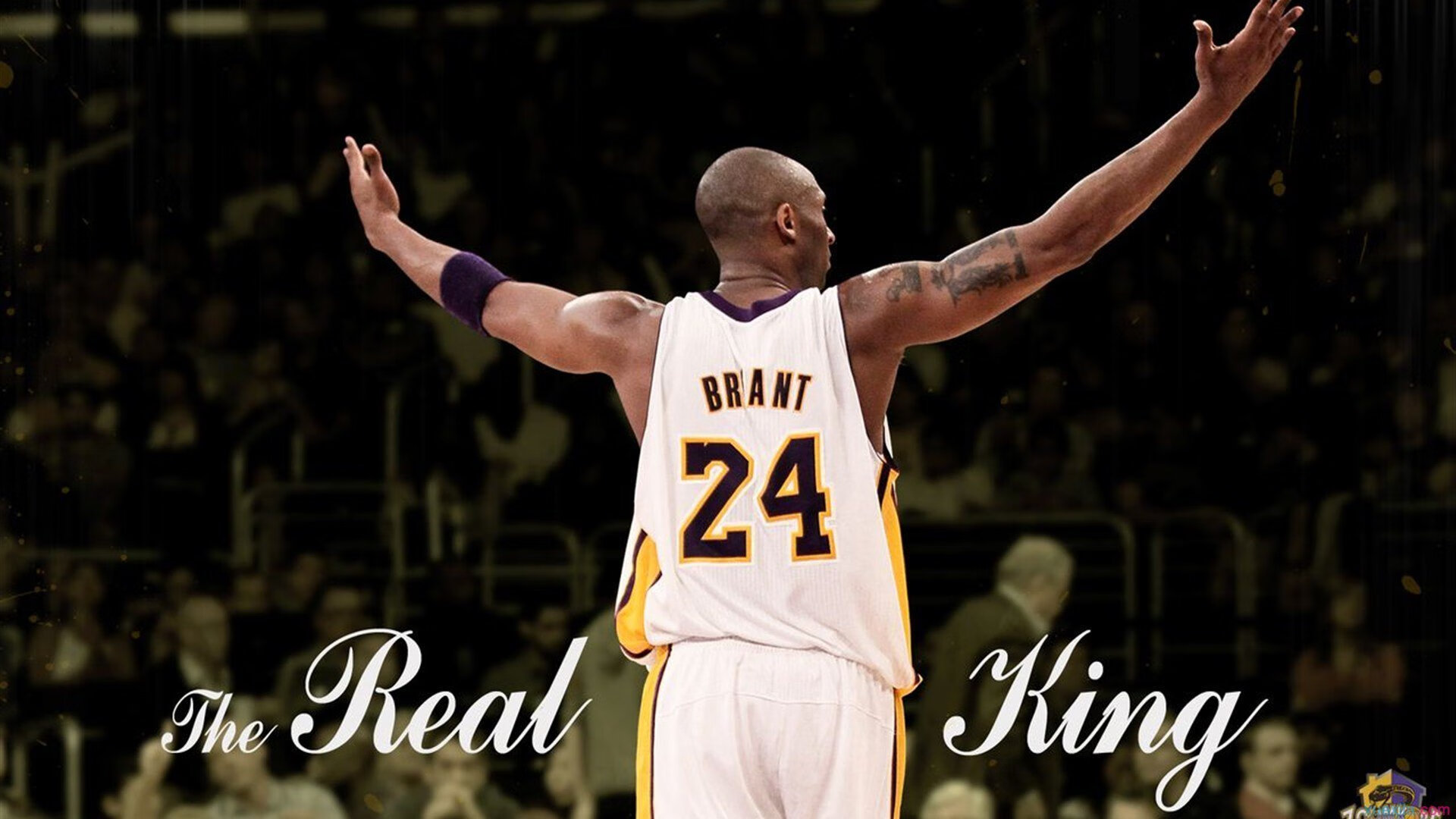 中超末轮多场生死局悬念拉满,中超几轮