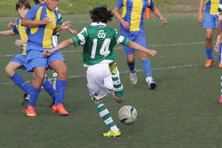 九游娱乐网站体验棒-英超：曼联逆转夺冠，争夺激烈！，曼联夺得英超冠军